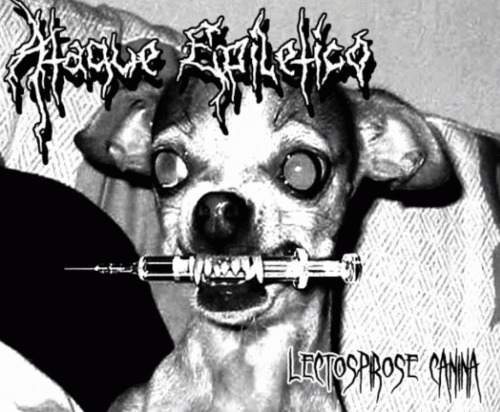 Ataque Epilético : Leptospirose Canina